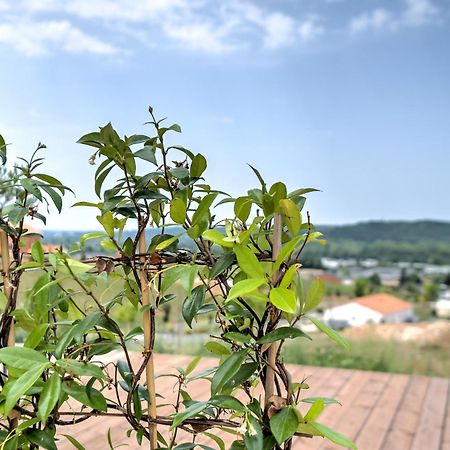L'Elegante Confort, Clim & Vue Imprenable Bassillac Ngoại thất bức ảnh